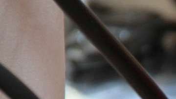 Los leo suelen tener problemas de presión.