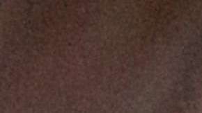 La calabaza es la principal fuente de vitamina A, esencial para el crecimiento y desarrollo normal, así como el funcionamiento de sistema inmunitario y la visión.