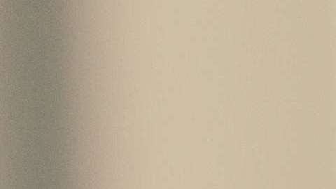 Hemos visto muchos perros que se parecen a su dueño, pero este es fenomenal.