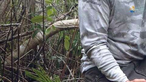 El reporte del hallazgo se publicará este mes en la revista Herpetological Review.