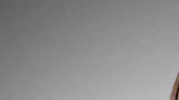 Ana Brenda Contreras protagoniza &quot;Por amar sin ley&quot; en Univision y Fernanda Castillo &quot;Enemigo íntimo&quot; en Telemundo