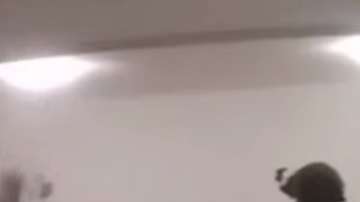 Según reportes, algunas de las armas que se encontraron en la detención de Joaquín "El Chapo" Guzmán eran del "Rápido y furioso".