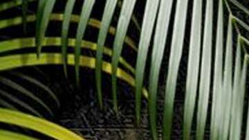 La competencia extrema se transmitirá simultaneamente en México y Estados Unidos