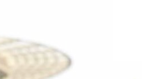 Adamari López y Toni Costa