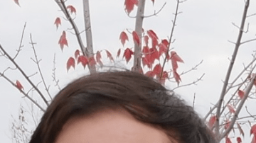 Un amigo lo deja todo para acompañar a su mejor amigo en los últimmentos de vida