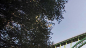 Los híbridos plug in resultan los más económicos.