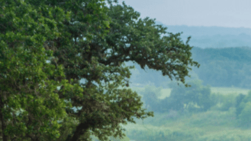El poder y la economía no están peleados.