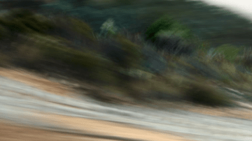 Audi llega a toda velocidad.