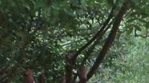 Julián Quino Velasco