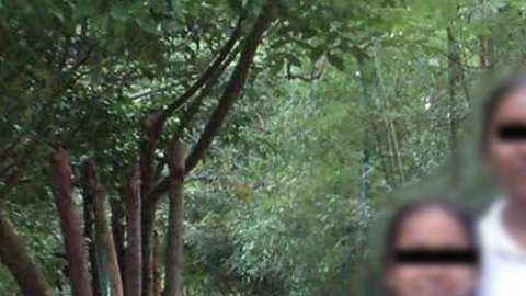 Julián Quino Velasco