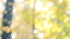 ¿Qué sucede cuando una mujer decide no casarse?