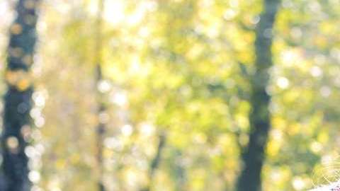 ¿Qué sucede cuando una mujer decide no casarse?