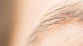 Recomiendan tratar de no exponerse a los ambientes con gran cantidad de hongos, esporas y polen.