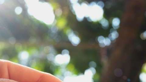 Si estás pensando en comprar una casa, este es el mejor momento.