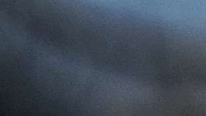 La babosa estaba infectada, lo que le provocó una grave enfermedad.