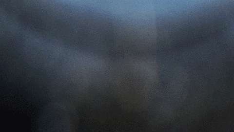 La babosa estaba infectada, lo que le provocó una grave enfermedad.