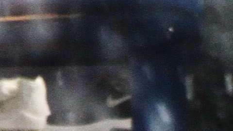 Nieve y viento azotan la Gran Manzana. La tormenta de nieve  llegara en la tarde pronostican los servicios meteorologico.