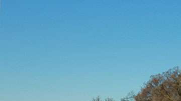 Una encuesta señala que más del 80 % de los estadounidenses respalda a los Dreamers.