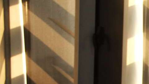 Saúl "Canelo" Álvarez fue suspendido temporalmente en Nevada