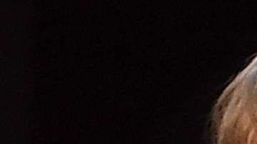 Taylor Swift y Camila Cabello.