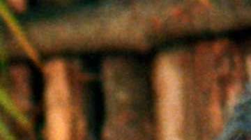 Thalía fue quien dio vida a "Marimar" en la telenovela clásica