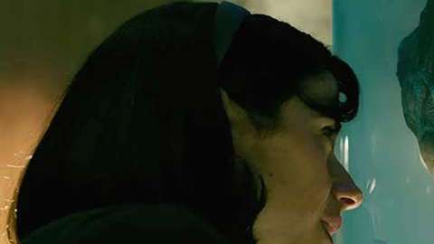 "The Shape of Water" compite en 13 rubros, mezclando dos temas clásicos: amor y terror