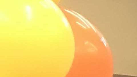 La familia Torres, Carlos y Sandra Torres con sus hijos Carli y Chaz durante la inauguración de su tienda./Cortesía