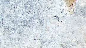 Un clásico estadounidense que ahora domina el mundo.