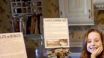 Roban la colección de minerales de un niño de 13 años.