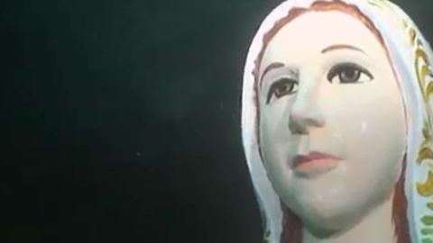 La región está llena de corales que hoy en día, se están reproduciendo.