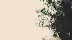 Voz de Mando estrena canción.