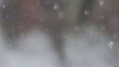 A la mañana del miércoles, los efectos de la tormenta en Nueva York eran mínimos.