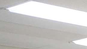 Trump disuelve la comisión que investigaba supuestos fraudes electorales.