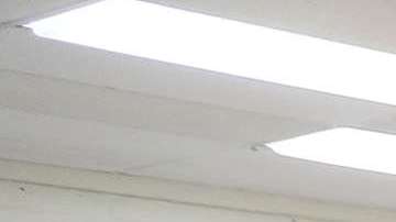 Trump disuelve la comisión que investigaba supuestos fraudes electorales.