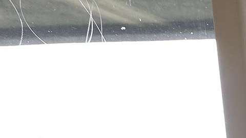 El plan aumenta las restricciones y requisitos para quienes soliciten cupones de comida