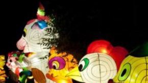 Dragon Lights en Chicago.