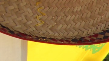 Chicago celebra con alegría el Cinco de Mayo.