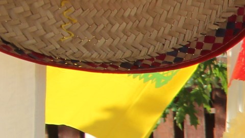 Chicago celebra con alegría el Cinco de Mayo.