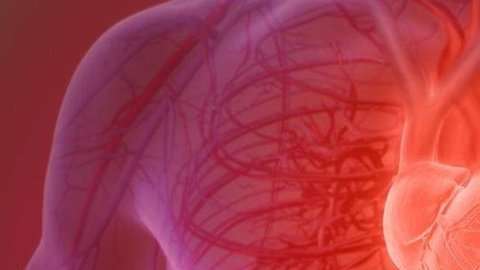 Tras sufrir un infarto, millones de células musculares del corazón se pierden de manera irreversible.