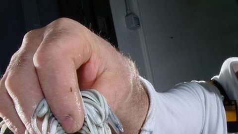 Para muchos es difícil entender por qué hay personas dispuestas a pagar tanto por las angulas.