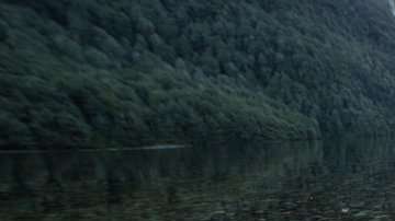 El receptor táctil más importante está en las articulaciones y los músculos.