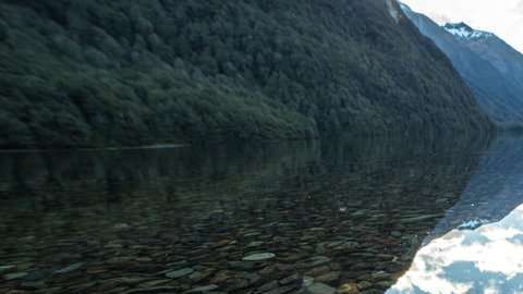 El receptor táctil más importante está en las articulaciones y los músculos.