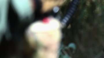 Profesor de periodismo, Héctor Tobar reflexiona sobre el papel de los medios en la crisis migratoria de EEUU