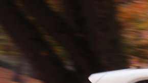 Al igual que California, China invierte grandes cantidades de dinero en la fabricación y promoción de los vehículos eléctricos. EPA