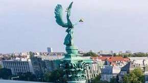 Estudiar el comportamiento de las multitudes puede prevenir crisis.