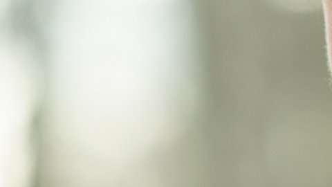 De ser así, la búsqueda de causas y remedios para las enfermedades mentales se ampliaría a campos insospechados.