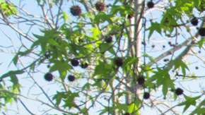 "Para mí era como abrir un diario en chino que, al mirarlo, no podía entender lo que eran esas líneas", dice John Corcoran.