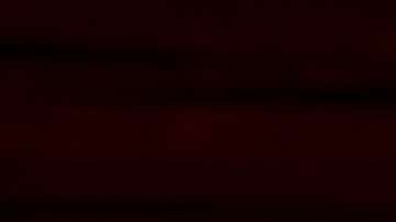 La fundación se ha quedado con sólo 11 miembros activos, lo que complica sus tareas en un periodo clave para el Nobel de Literatura.