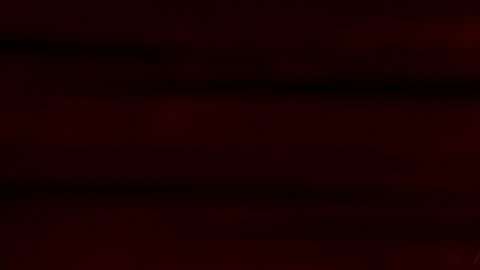 La fundación se ha quedado con sólo 11 miembros activos, lo que complica sus tareas en un periodo clave para el Nobel de Literatura.