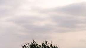 Se estima que 8 millones de toneladas de plásticos acaban cada año en el océano.